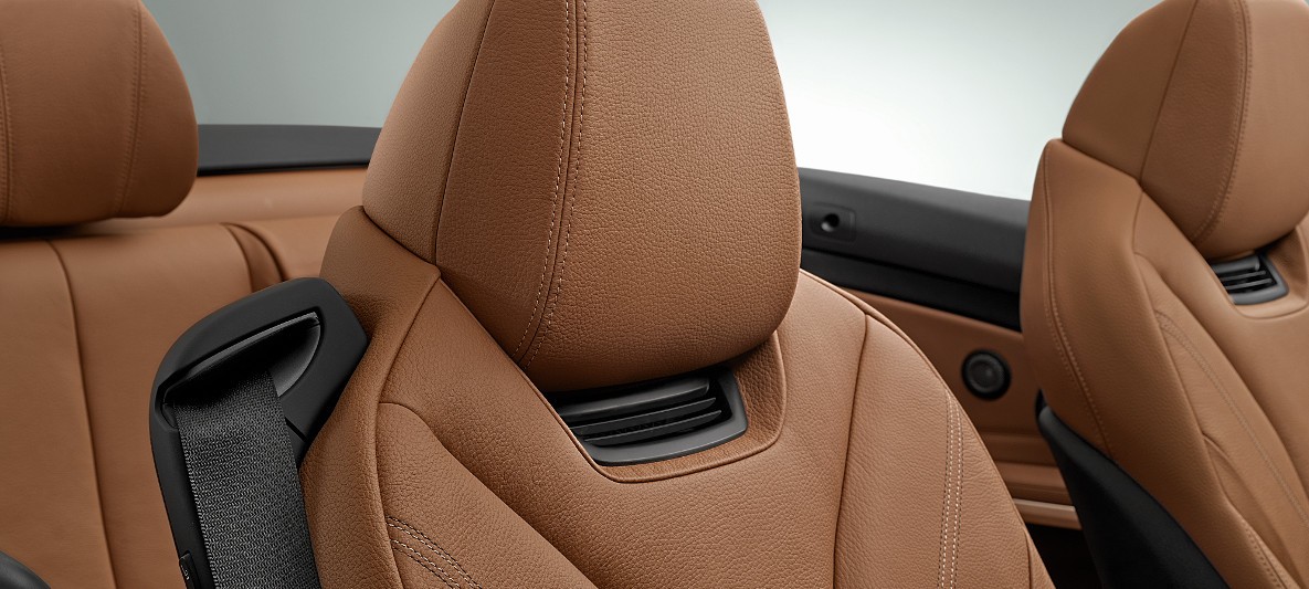 BMW 4 Serisi Cabrio Luxury Line