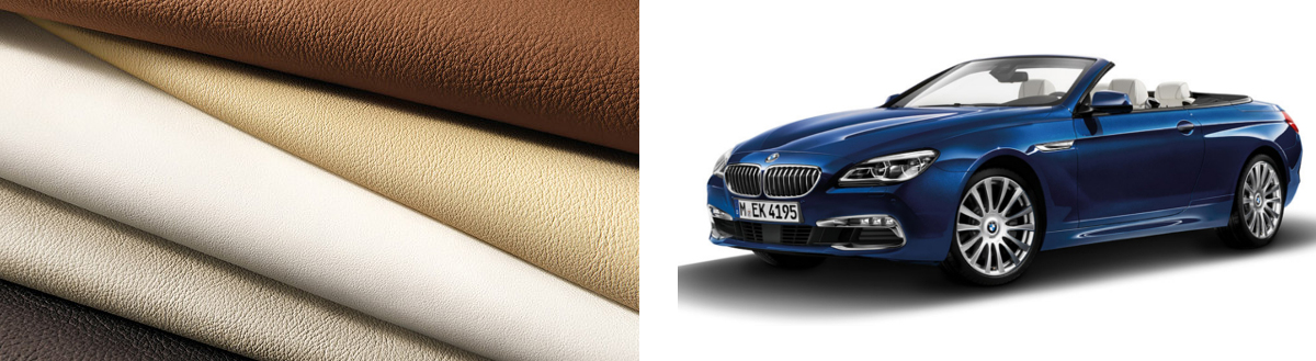 BMW 6 Serisi Cabrio M Sport Paket