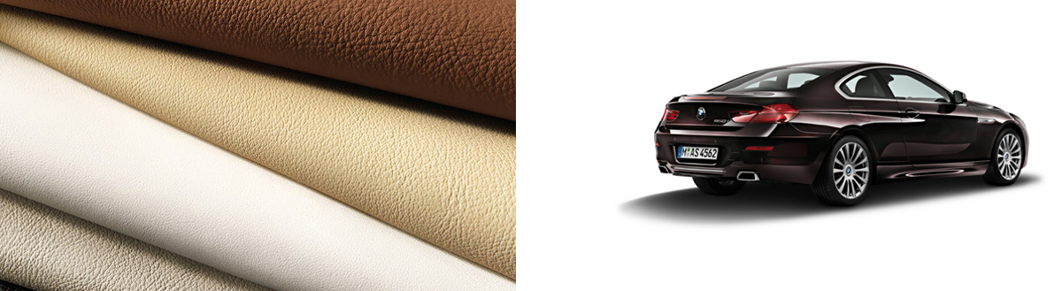 BMW 6 Serisi Coupe Donanim