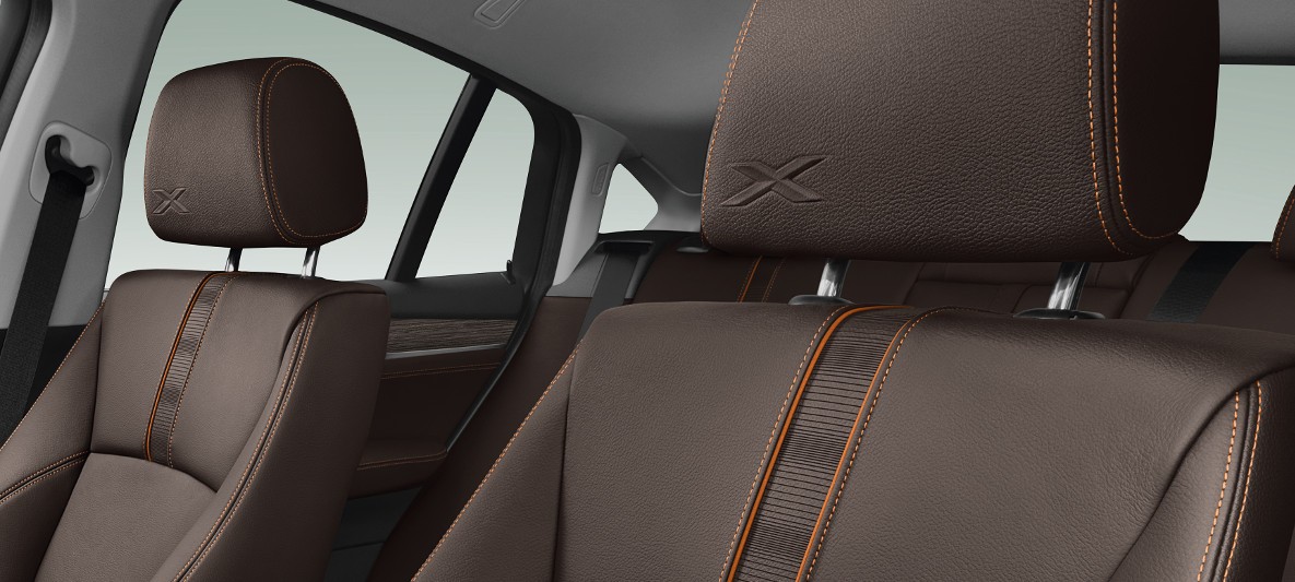 BMW X Serisi X4 xLine