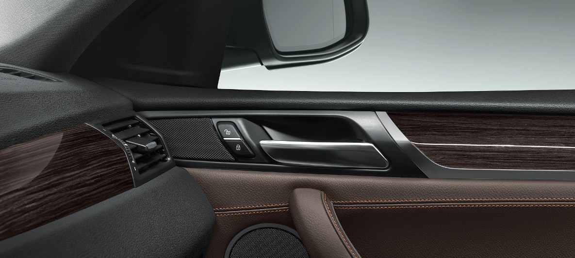 BMW X Serisi X4 xLine