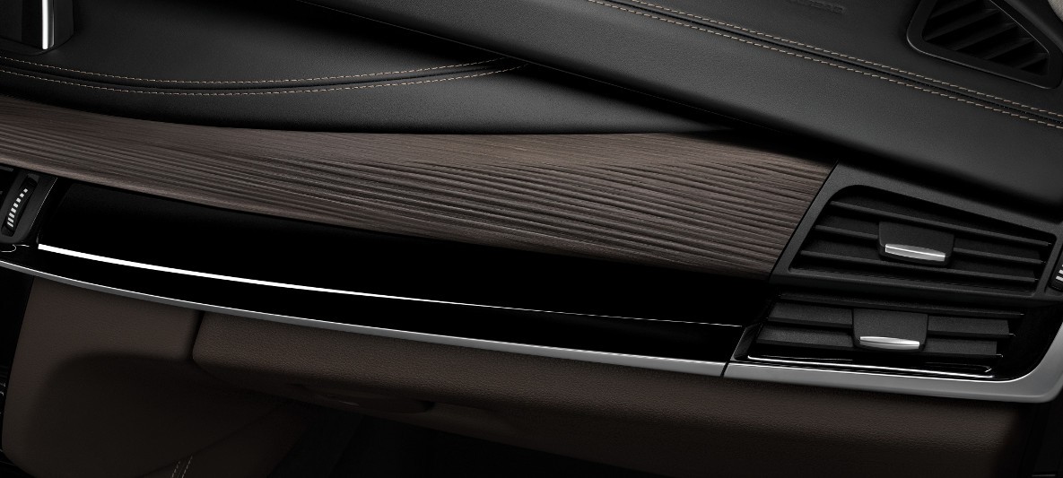 BMW X Serisi X5 Design Pure Experience