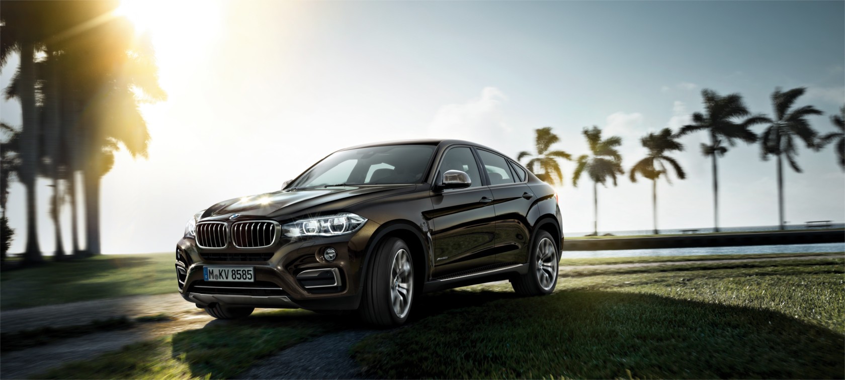 BMW X Serisi X6